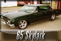 65 Skylark