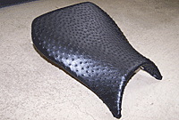 Authentick Black Ostrich