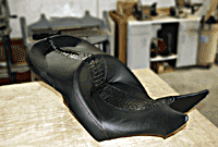 Victory - Real Alligator